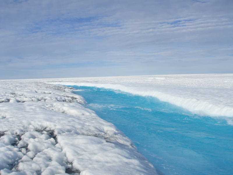 Global warming is melting ice in Antarctica faster than ever.