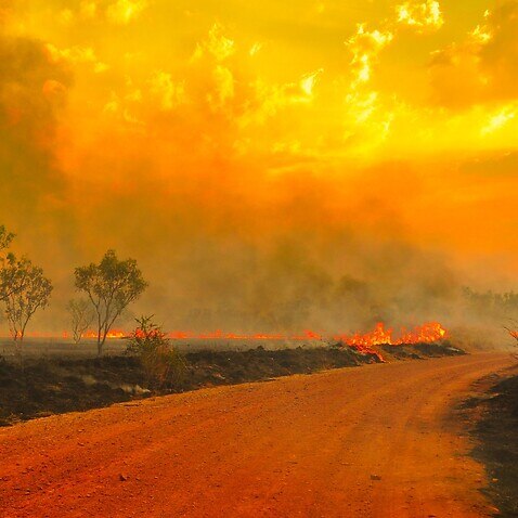 bushfires Australia 