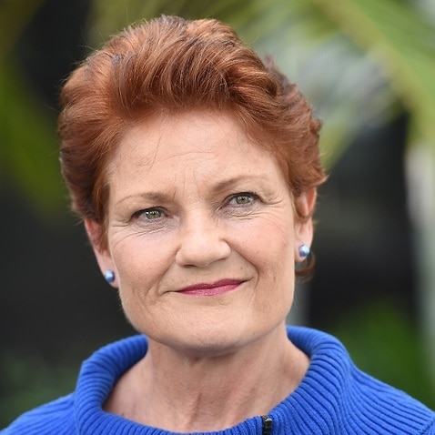 File image of Pauline Hanson from 2015