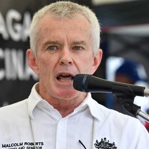Malcolm Roberts claims that nature alone controls the level of carbon dioxide in the atmosphere.