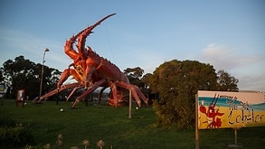 LarryÂ­, known as The Big LobstÂ­er, in KingsÂ­ton South East, AustrÂ­alia, Aug. 1, 2018.