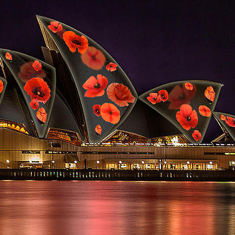 Poppies to be projected on the Sydney Opera House to commemorate Remembrance Day (The Electric Canvas) 
