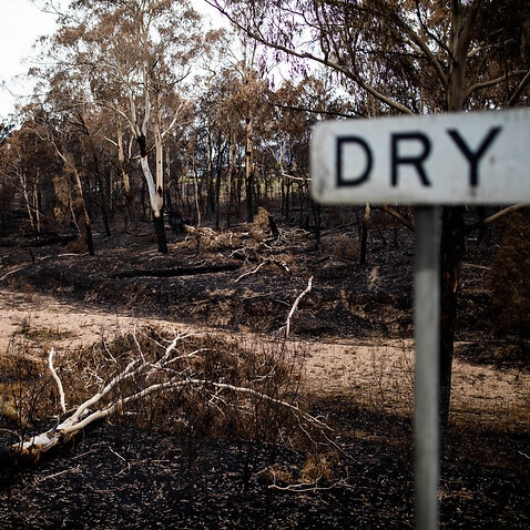The recent bushfires on the South Coast of NSW were preceded by extended periods of drought