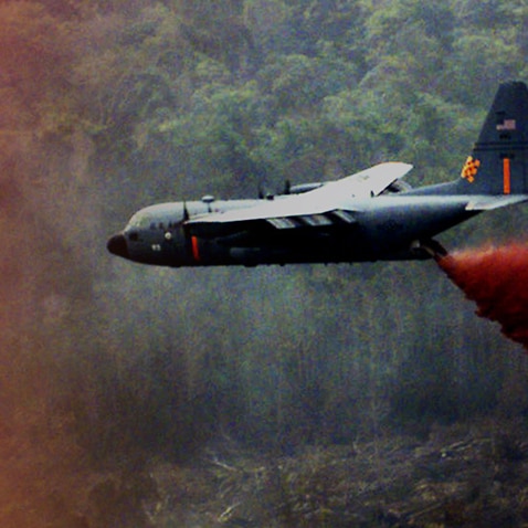 The Forgotten Victims Of Agent Orange