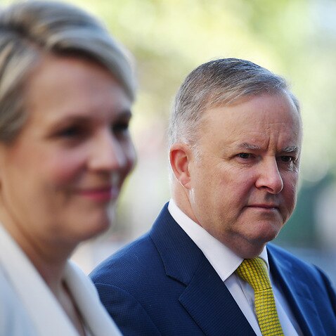 Leader of the Opposition Anthony Albanese and Shadow Minister for Education Tanya Plibersek 