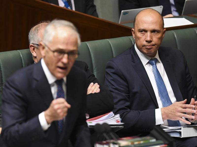 Peter Dutton to challenge Malcolm Turnbull. 