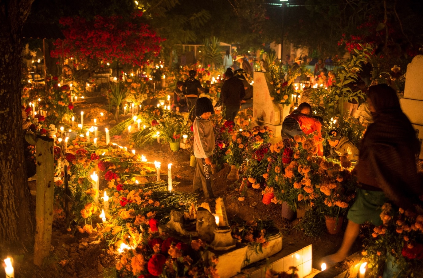 visit mexico for day of the dead