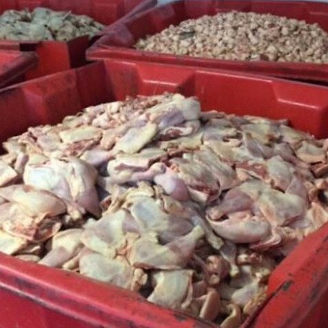 Chicken that was intended for sale at Bill's Chicken in Moorebank, in rusty and corroded bins