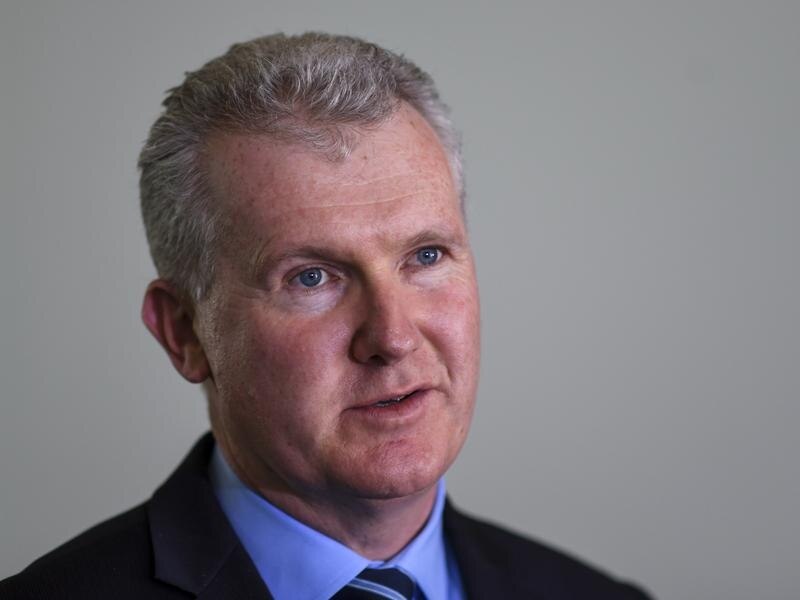 Tony Burke says there won't be any change to Labor's support for boat turnbacks.