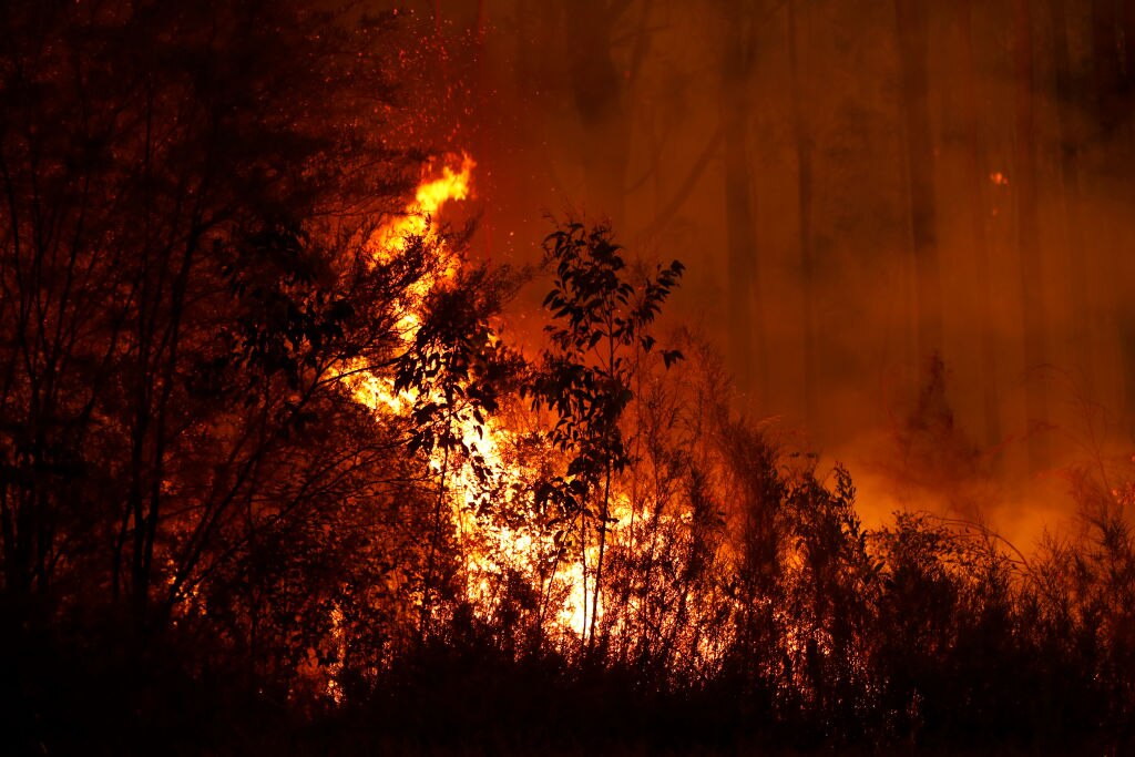 Evacuations Begin Following East Gippsland Bushfires
