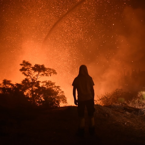 A photo from a fire zone in North Attica, Greece,