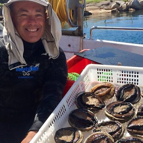 Abalone diver Stephen Binney working to meet demand from China 