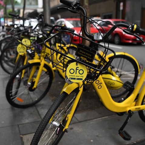 Ofo bikes on Melbourne's street