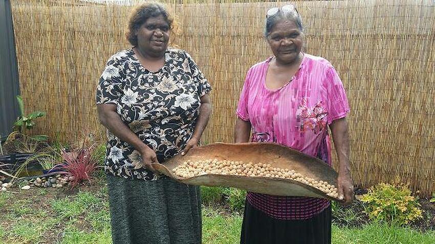 SBS Language | How Traditional Aboriginal Healing Is Filling The Gaps ...