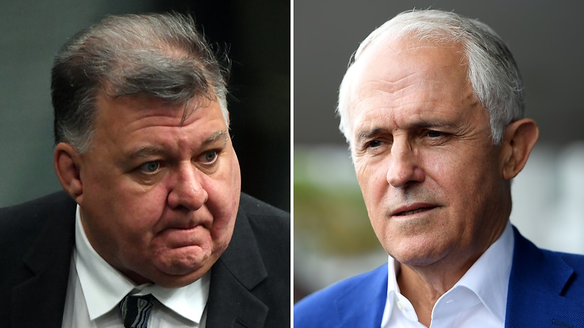 Malcolm Turnbull urges senior government figures to call out Craig Kelly for spreading health misinformation - Vimarsana News