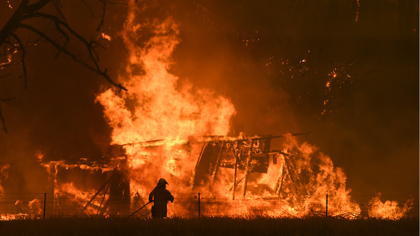كيف يمكنكم مساعدة ضحايا حرائق الغابات في أستراليا