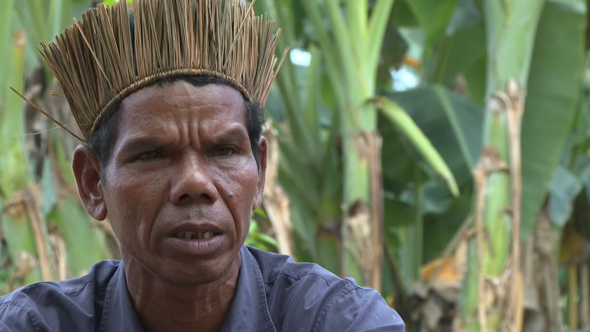 The indigenous Temiar people  of Malaysia are in the fight 
