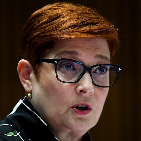Foreign Minister Marise Payne 