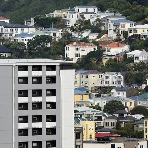 Residential housing in Wellington, New Zealand 