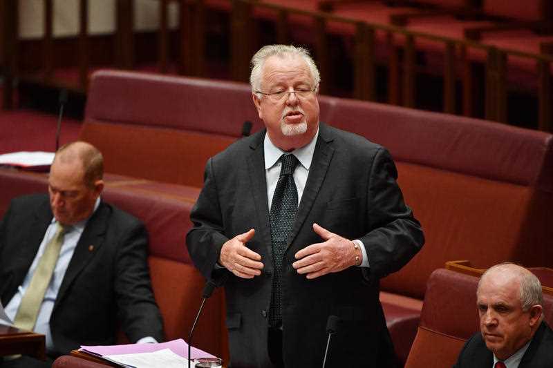 Natale O Natale.Senate Suspends Greens Leader Richard Di Natale For Calling Barry O Sullivan A Pig