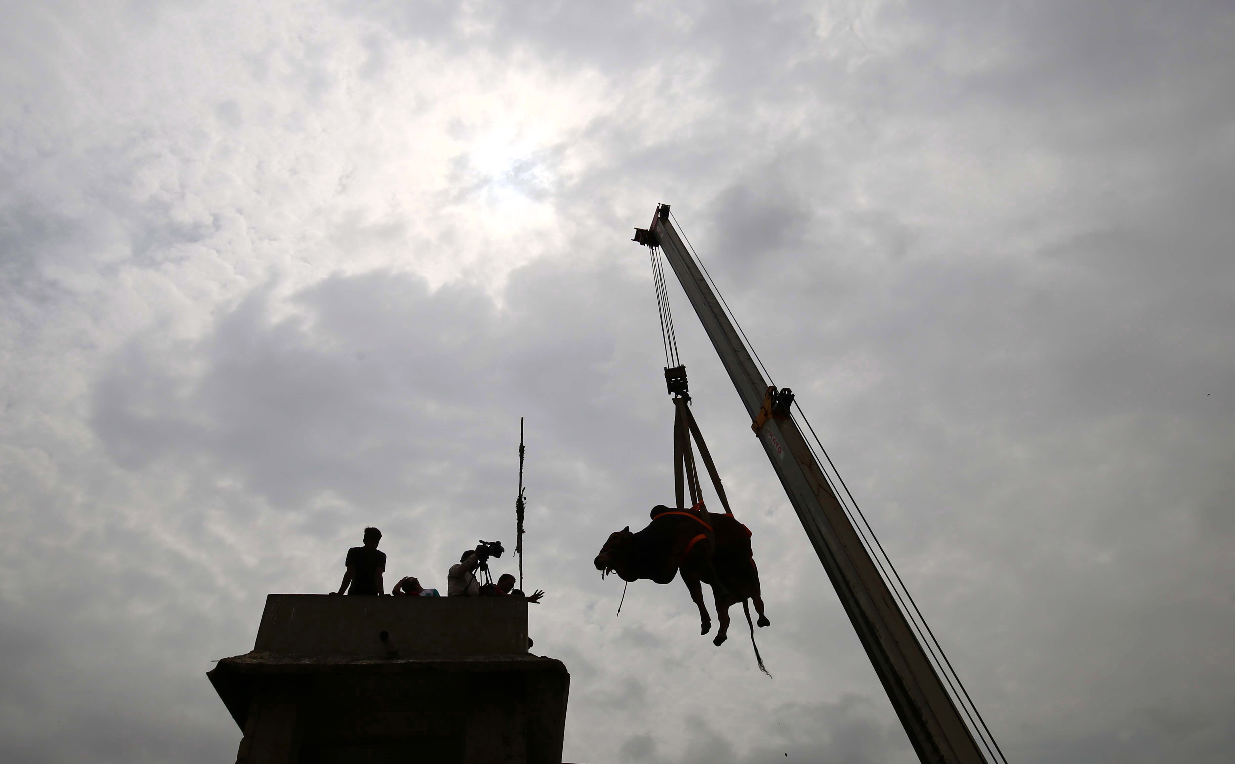 People use a crane to load sacrificial animals to their roof top, ahead of the Eid al-Adha festival in Karachi, Pakistan.