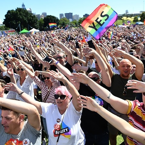 People celebrate after watching the same sex marriage vote result announcement during a picnic held by the Equality Campaign at Prince Regent Park in Sydney