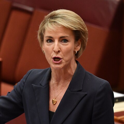 Minister for Employment Michaelia Cash during debate in the Senate chamber at Parliament House in Canberra on Thursday.