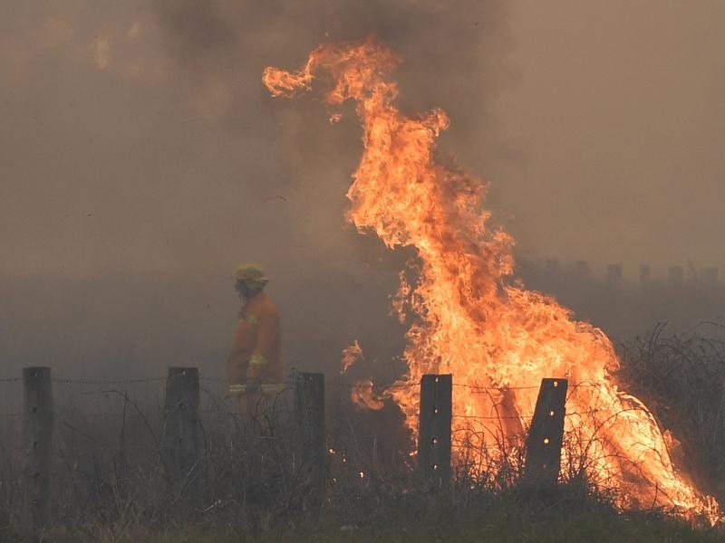 A fire fighter in front of a spot fire in Victoria.