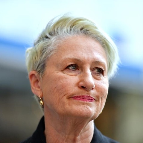 Independent candidate for Wentworth Kerryn Phelps addresses the media.