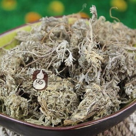 Capillary Wormwood Herb