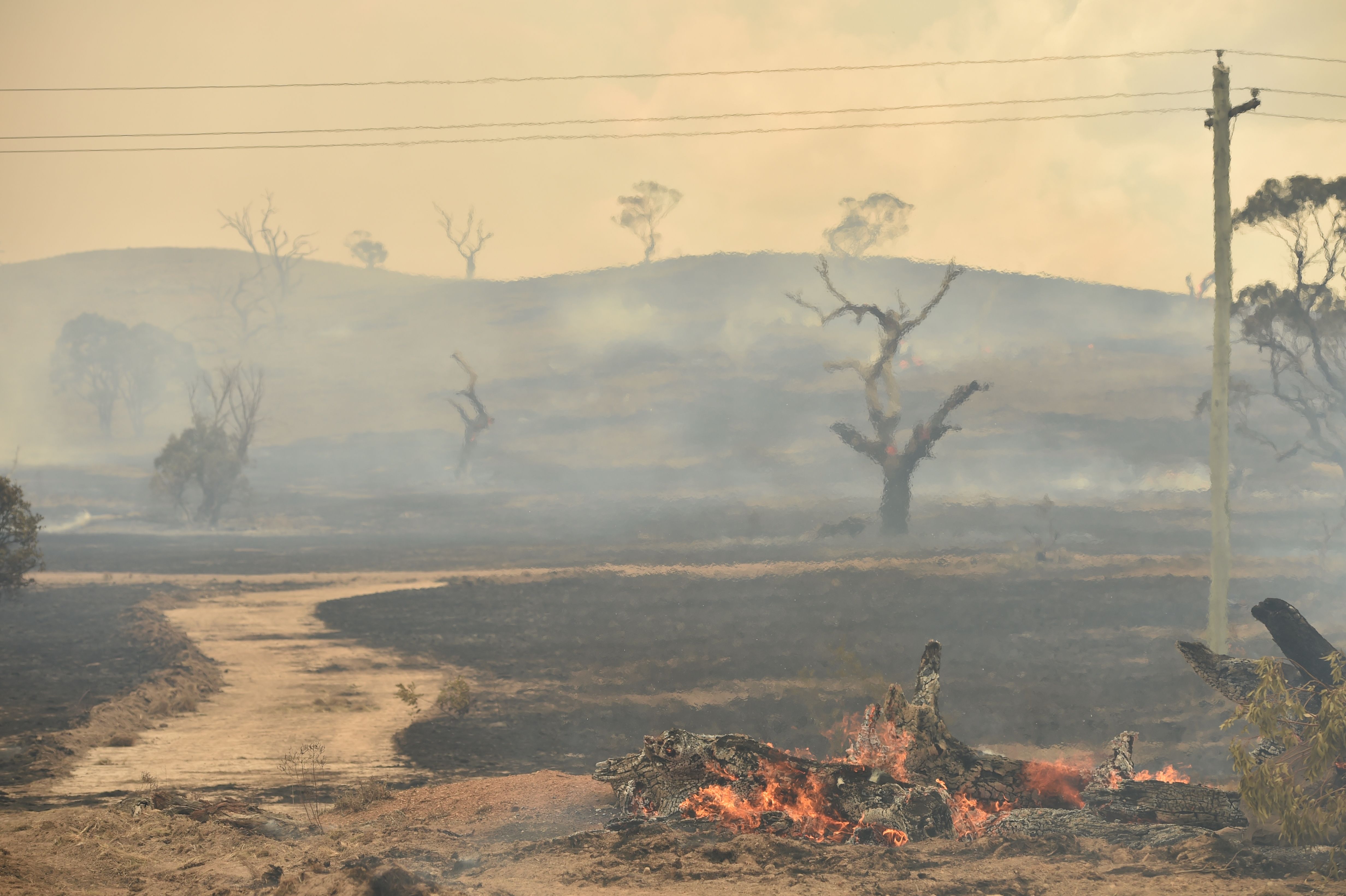 The aftermath of a bushfire near the town of Bumbalong, south of Canberra on February 2, 2020 .