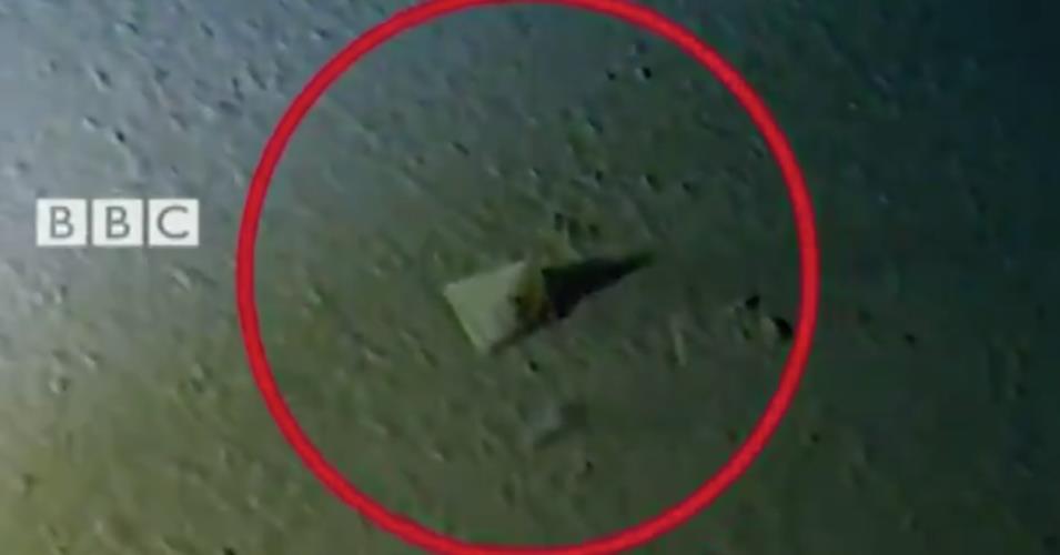 A plastic bag found on the bottom of the Mariana Trench. 