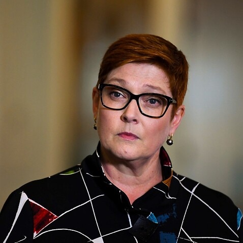 Australian Foreign Minister Marine Payne speaks during a press conference at Parliament House in Canberra, Monday, October 26, 2020. (AAP Image/Lukas Coch) NO ARCHIVING