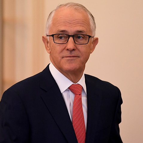 Former PM Malcolm Turnbull set up the review.