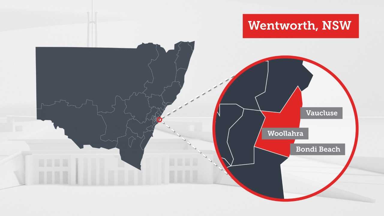 Wentworth by-election: Why it matters | SBS News