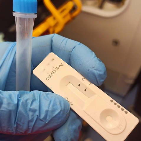 Rapid Antigen Test, NSW, shortage