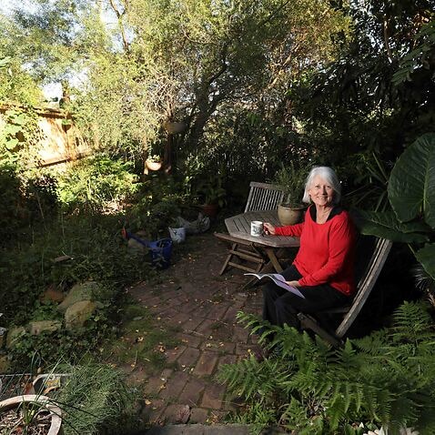 Glebe, Sydney - 29th May 2019. Glebe resident Judy Christie has created a green habitat, including a frog pond, in her small Glebe courtyard to support and encourage native animals in the city.