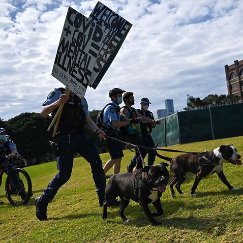 A police officer carries seized placards during a anti-lockdown protest in Sydney.