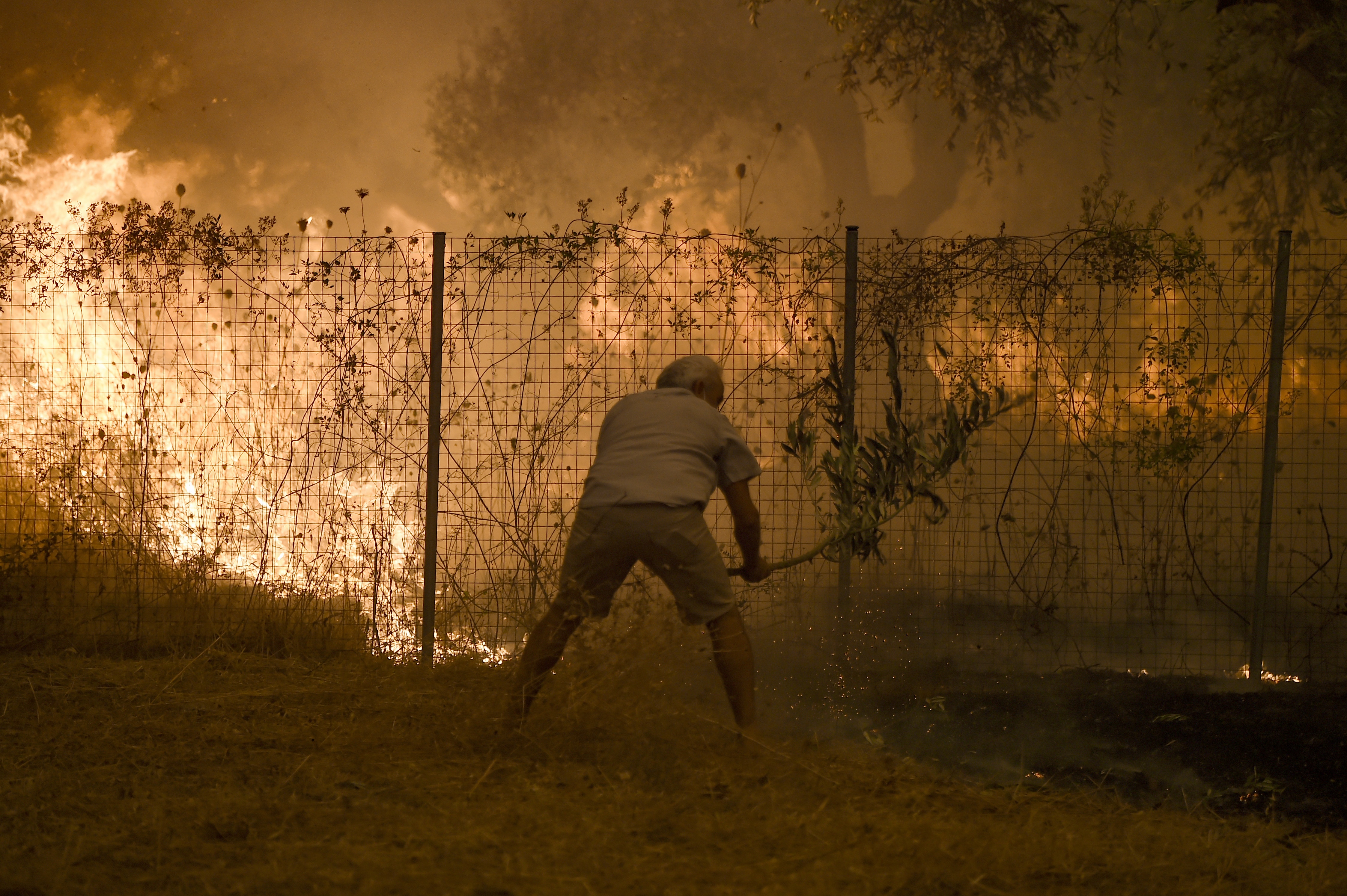 A resident tries to extinguish fire in the village of Peyki on Evia island in Greece on 8 August, 2021.