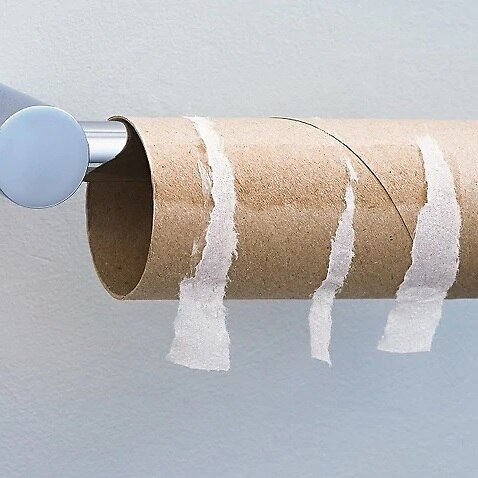 toilet paper 