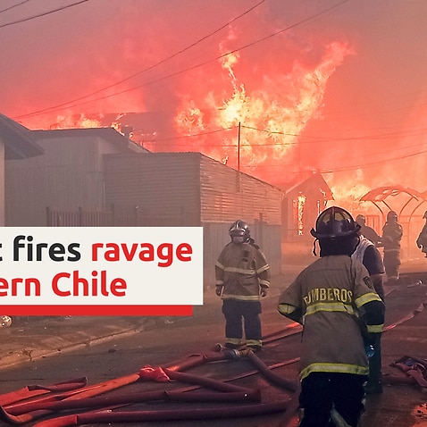 Forest fires ravage southern Chile