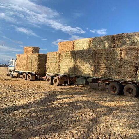 truck carrying hay
