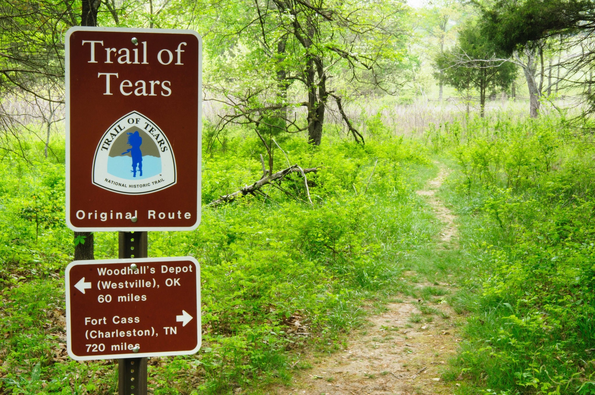 The trail of tears что это