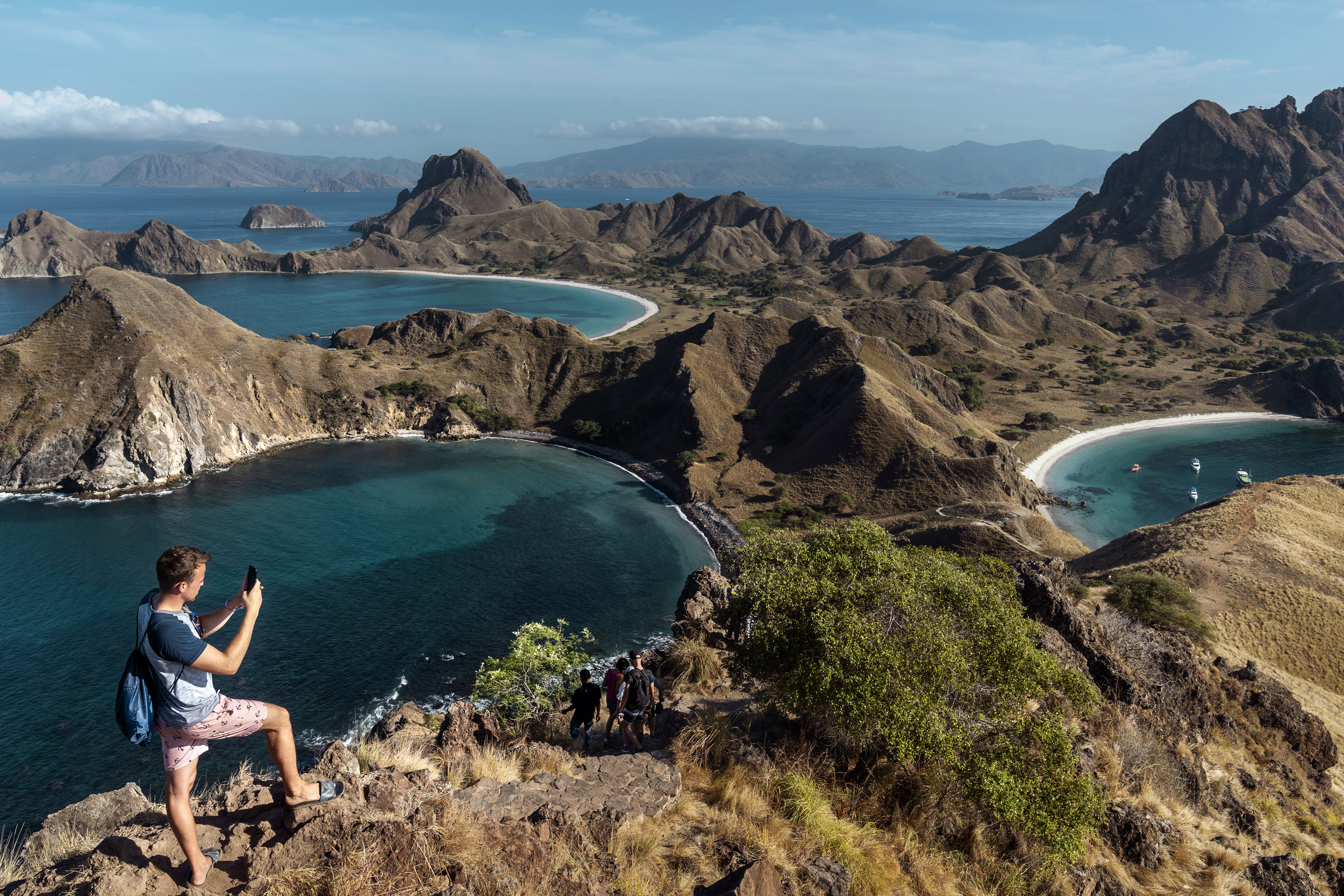 Can Komodo Dragons survive an invasion of tourists? | SBS News