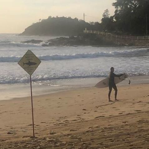 Image of surfers and a shark warning sign on the beach.