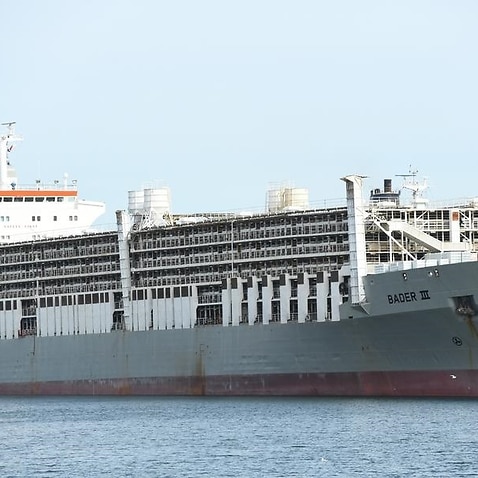 A view of the livestock transport ship Bader III.