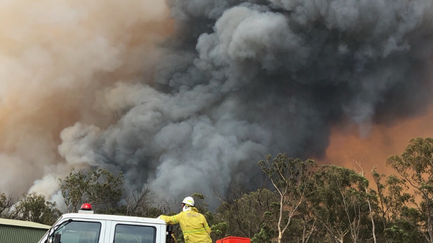 A fire generated thunderstorm has formed over the Currowan fire.