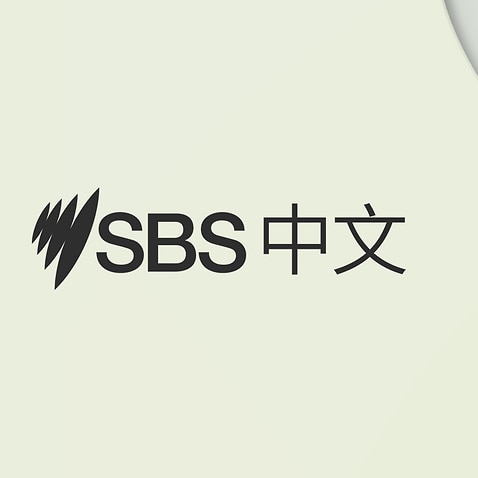 SBS中文