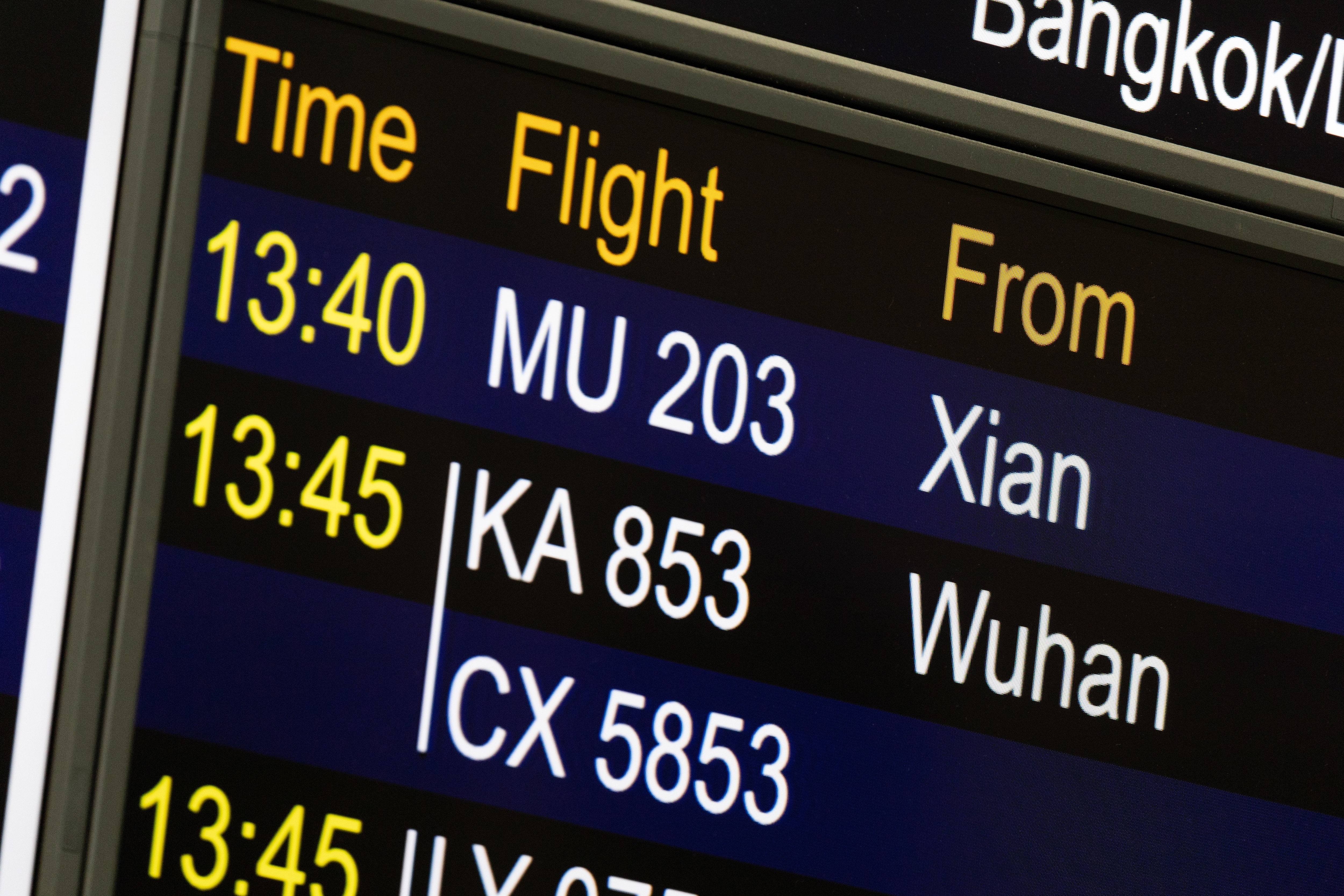 Flights and trains out of Wuhan were halted as part of the Chinese crackdown. 