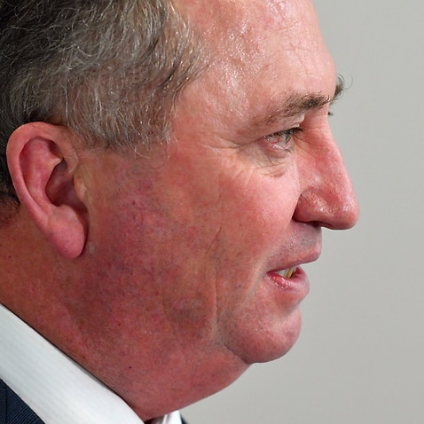 Deputy Prime Minister Barnaby Joyce at a press conference at Parliament House in Canberra, Wednesday, November 24, 2021. (AAP Image/Mick Tsikas) NO ARCHIVING